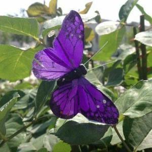 Meet your Posher, Sherry